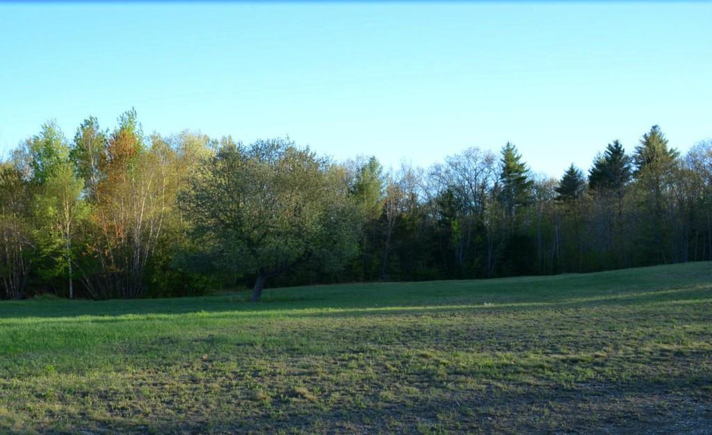 70 Sibley Road Burlington, ME 04417 - Photo 7 of 16 Land/lot