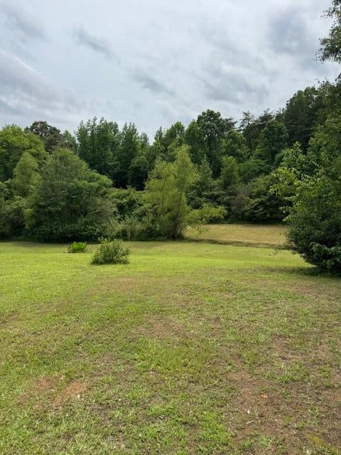 1465 Earnest Chapel Road Oakman, AL 35579 - Photo 16 of 23 IMG_2567