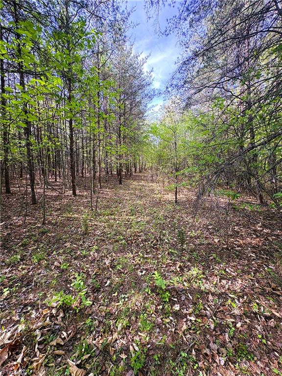 521 Matrimony Road Eden, NC 27288 - Photo 21 of 36 Gallery Image 21
