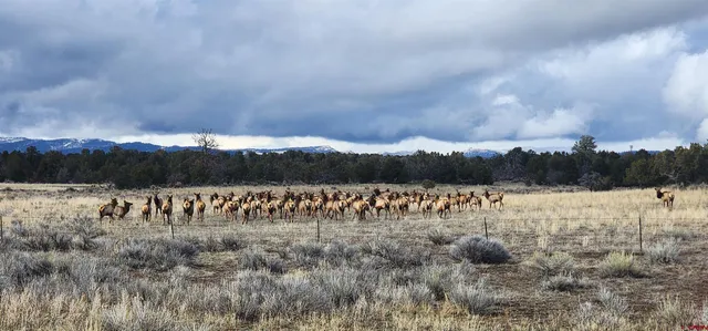 a view of lake with green space