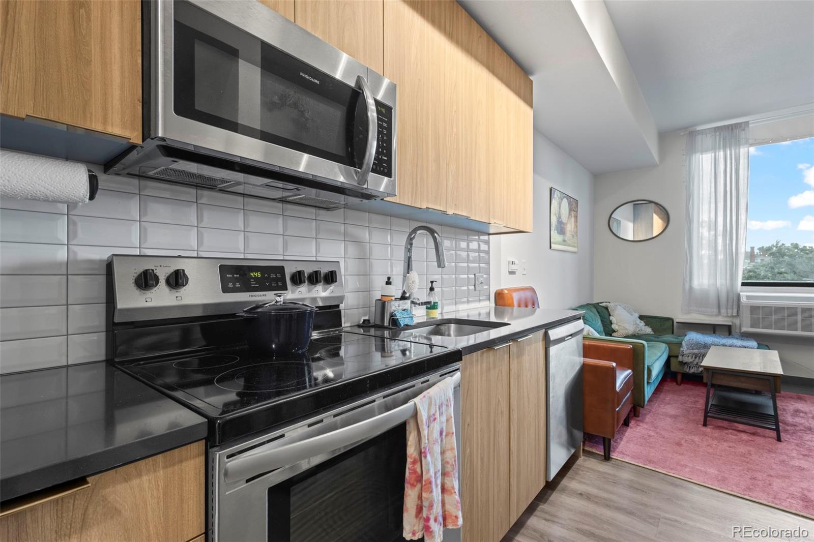 603 Inca Street, Unit 311 Denver, CO 80204 - Photo 7 of 19