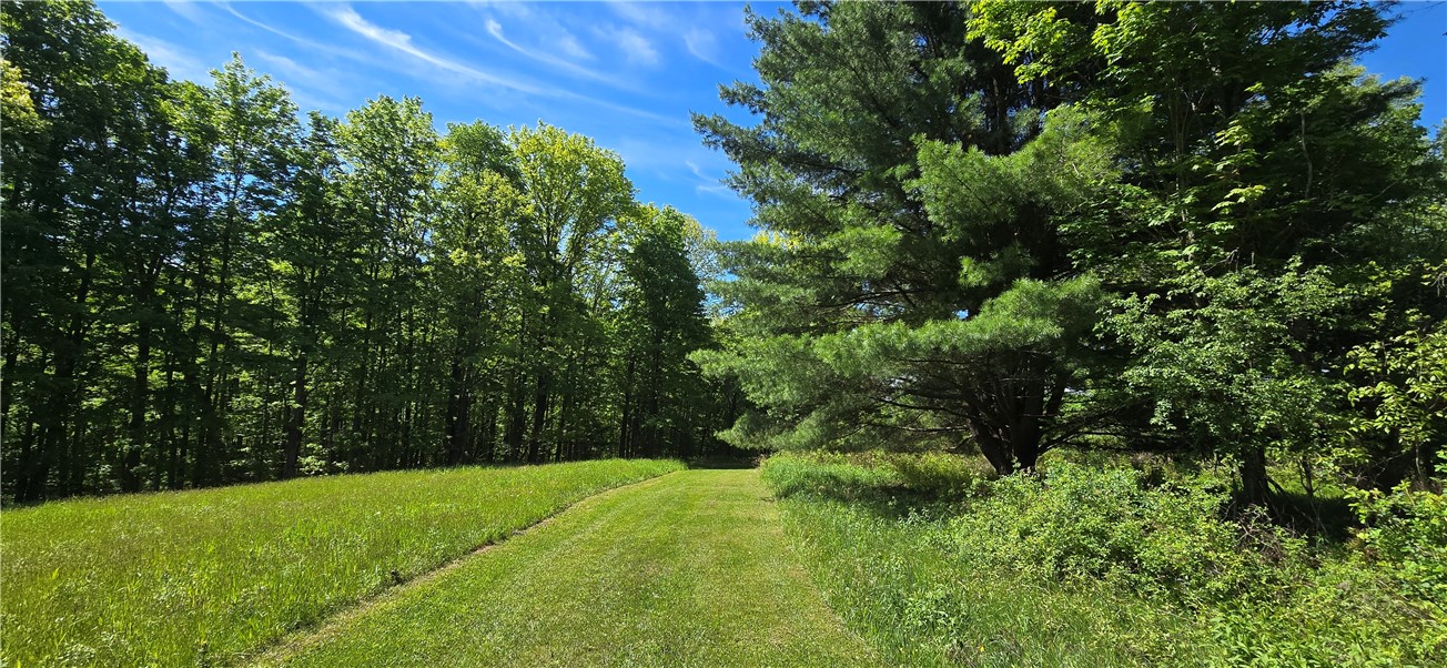 324 Murphy Hill Road Catlin, NY 14845 - Photo 28 of 47