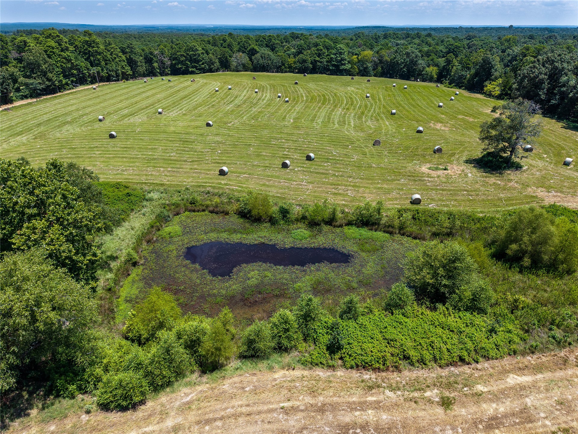 20 Red Hill Road Antlers, OK 74523 - Photo 9 of 17 Expansive agricultural field with numerous hay bales, bordered by mature woodlands