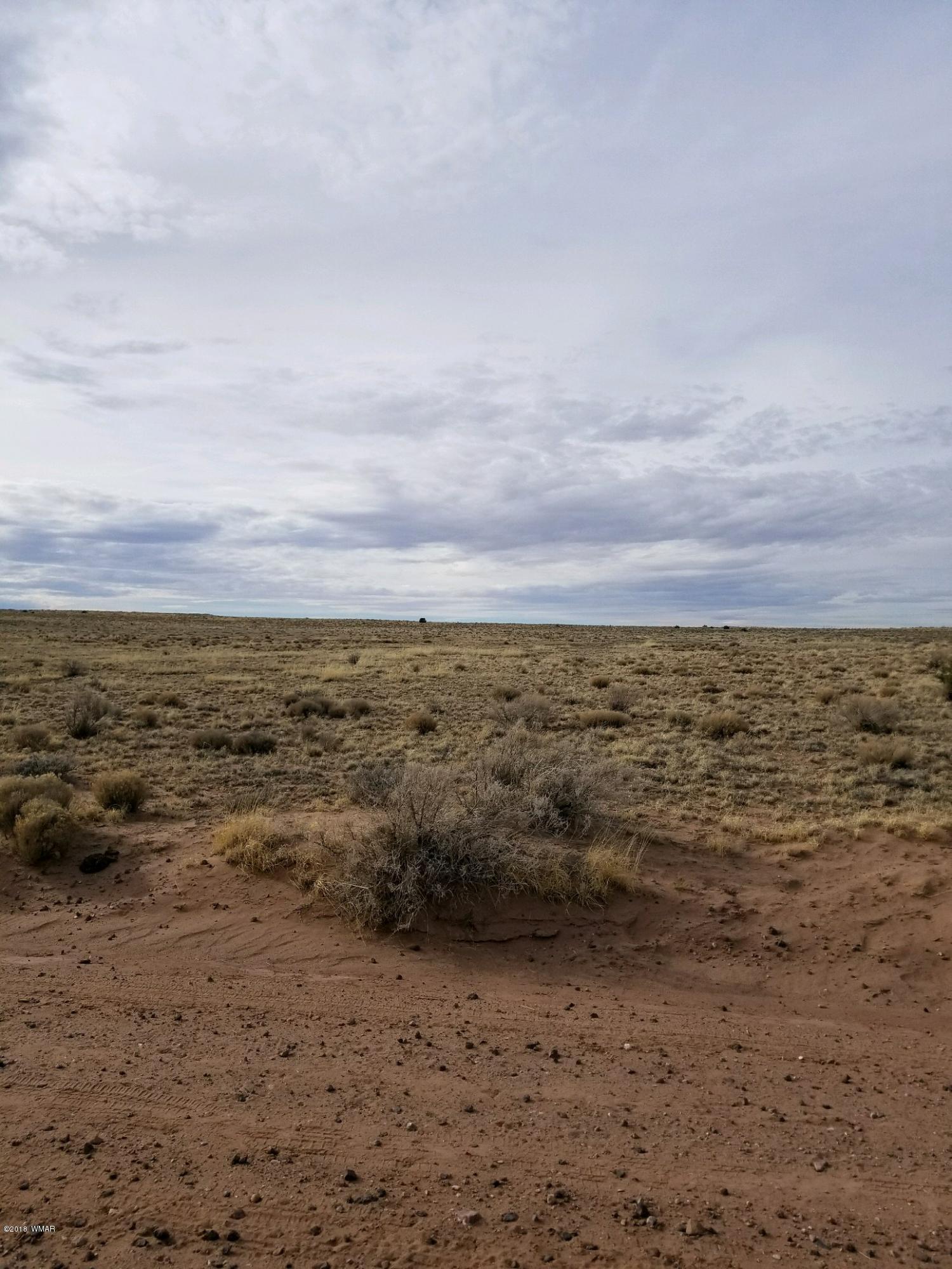 Lot 154 River Meadows Ranch Concho, AZ 85924 - Photo 11 of 11