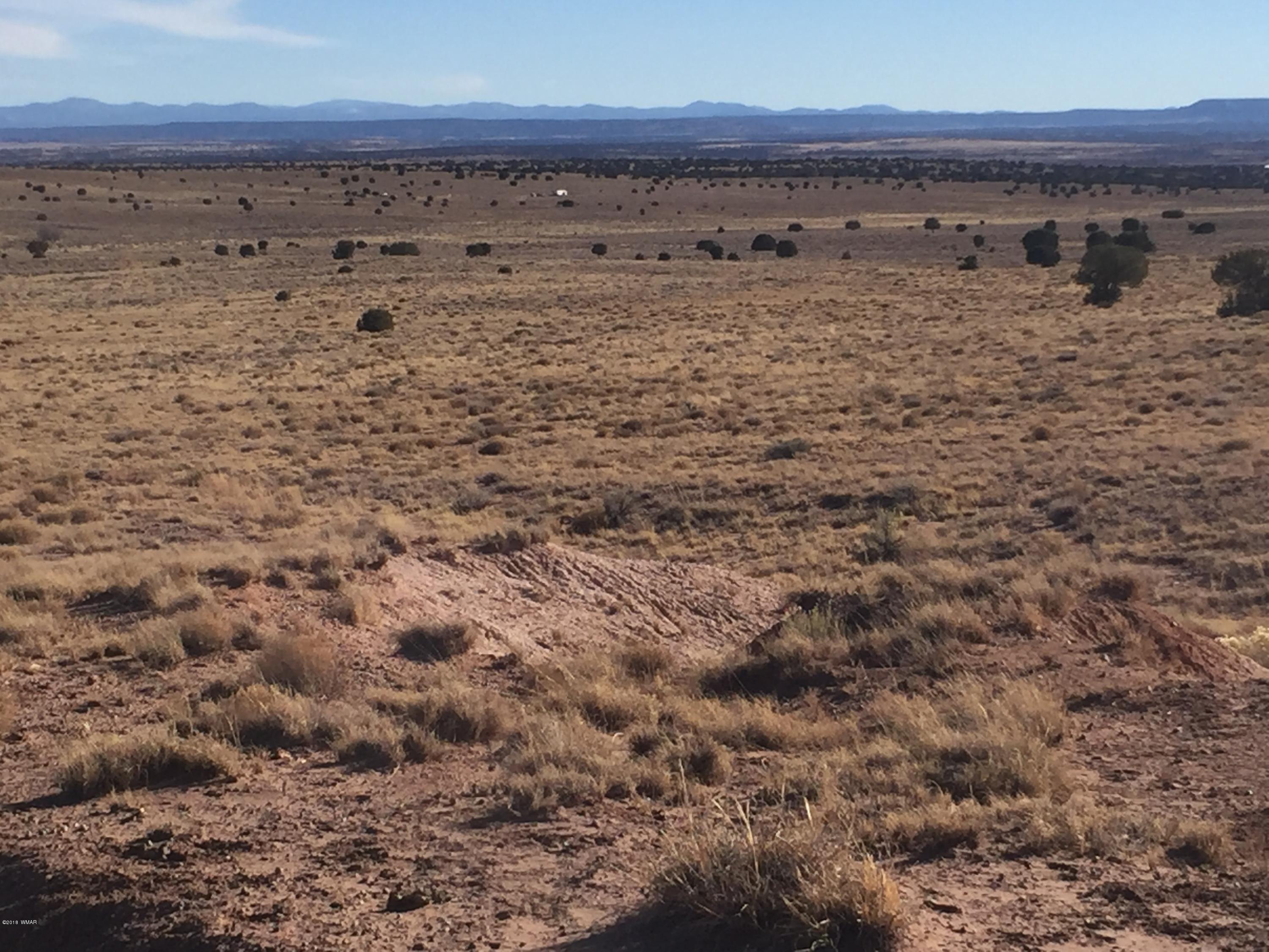 Lot 154 River Meadows Ranch Concho, AZ 85924 - Photo 2 of 11