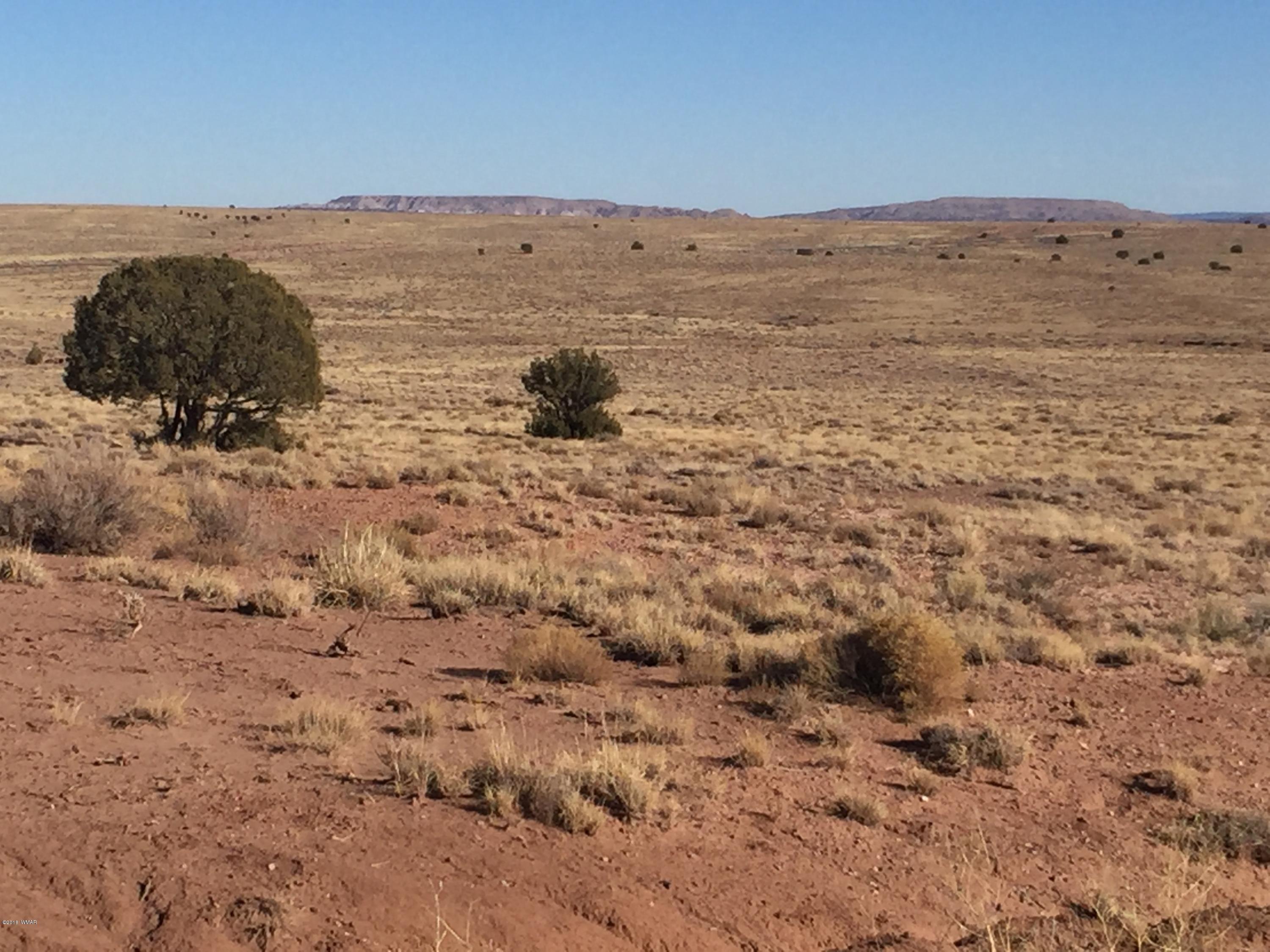 Lot 154 River Meadows Ranch Concho, AZ 85924 - Photo 3 of 11