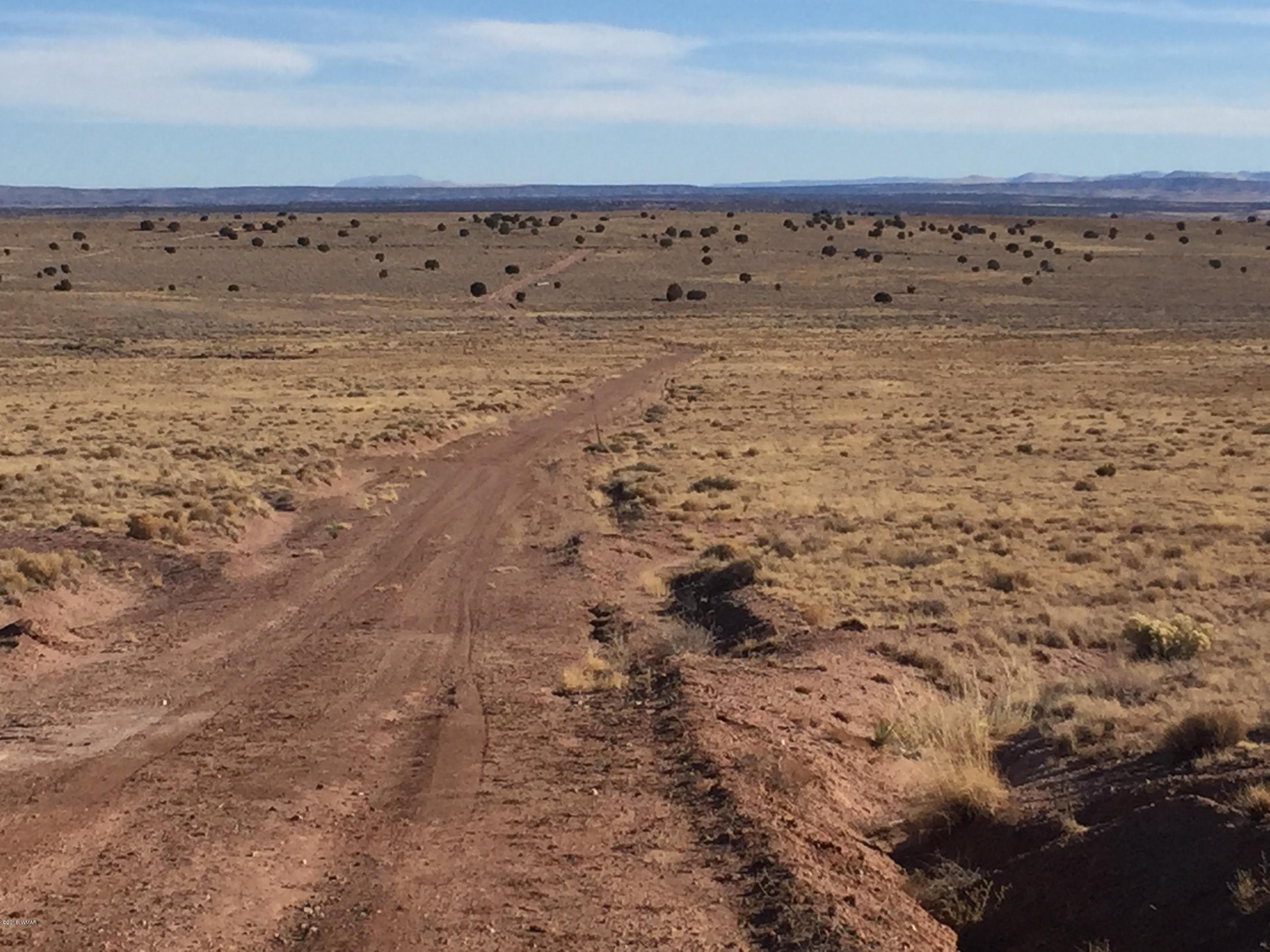 Lot 154 River Meadows Ranch Concho, AZ 85924 - Photo 4 of 11
