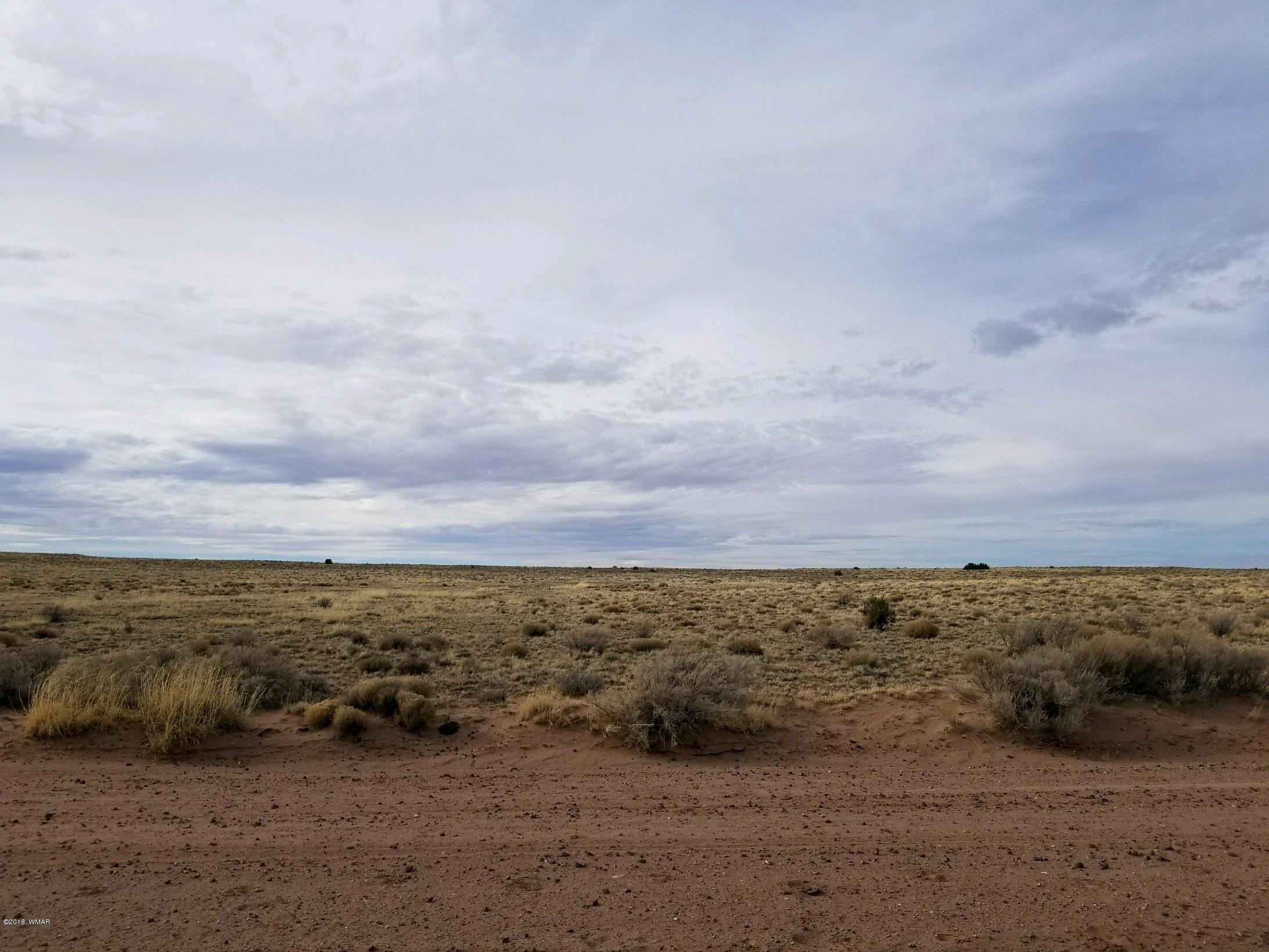 Lot 154 River Meadows Ranch Concho, AZ 85924 - Photo 5 of 11
