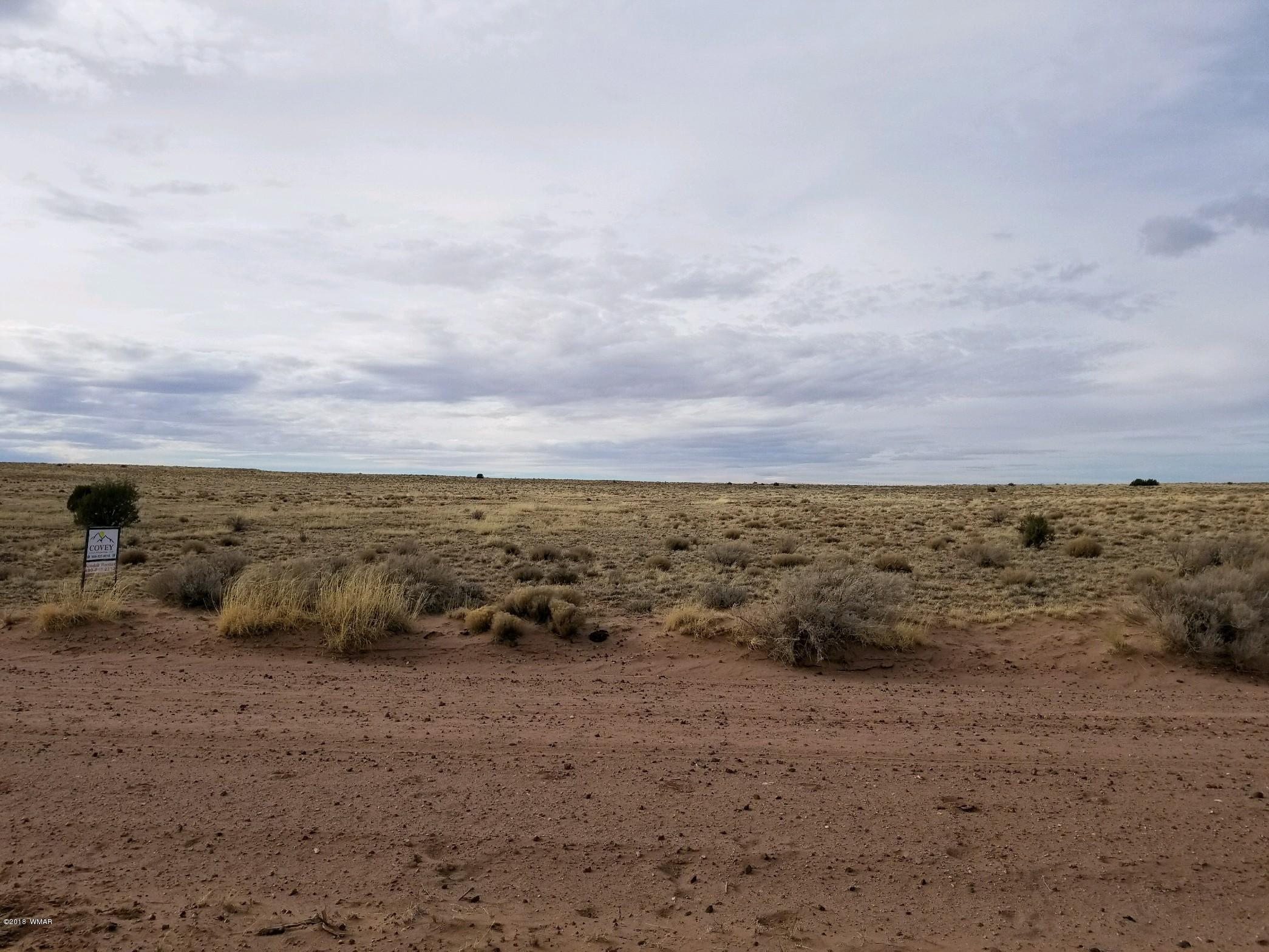 Lot 154 River Meadows Ranch Concho, AZ 85924 - Photo 6 of 11