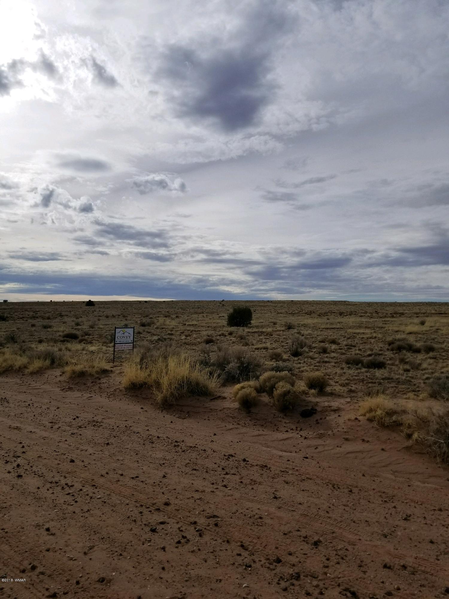Lot 154 River Meadows Ranch Concho, AZ 85924 - Photo 7 of 11
