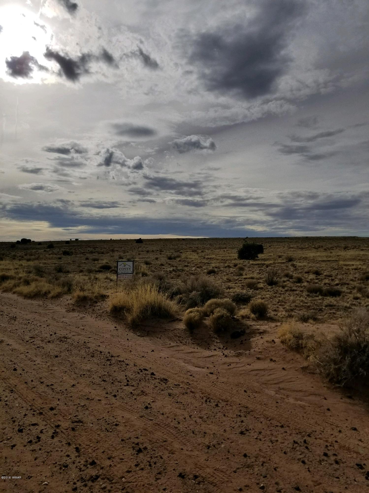 Lot 154 River Meadows Ranch Concho, AZ 85924 - Photo 8 of 11