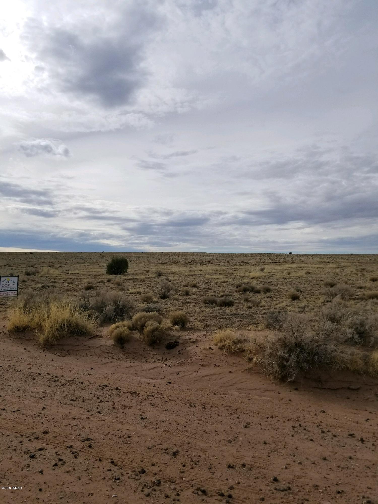 Lot 154 River Meadows Ranch Concho, AZ 85924 - Photo 9 of 11