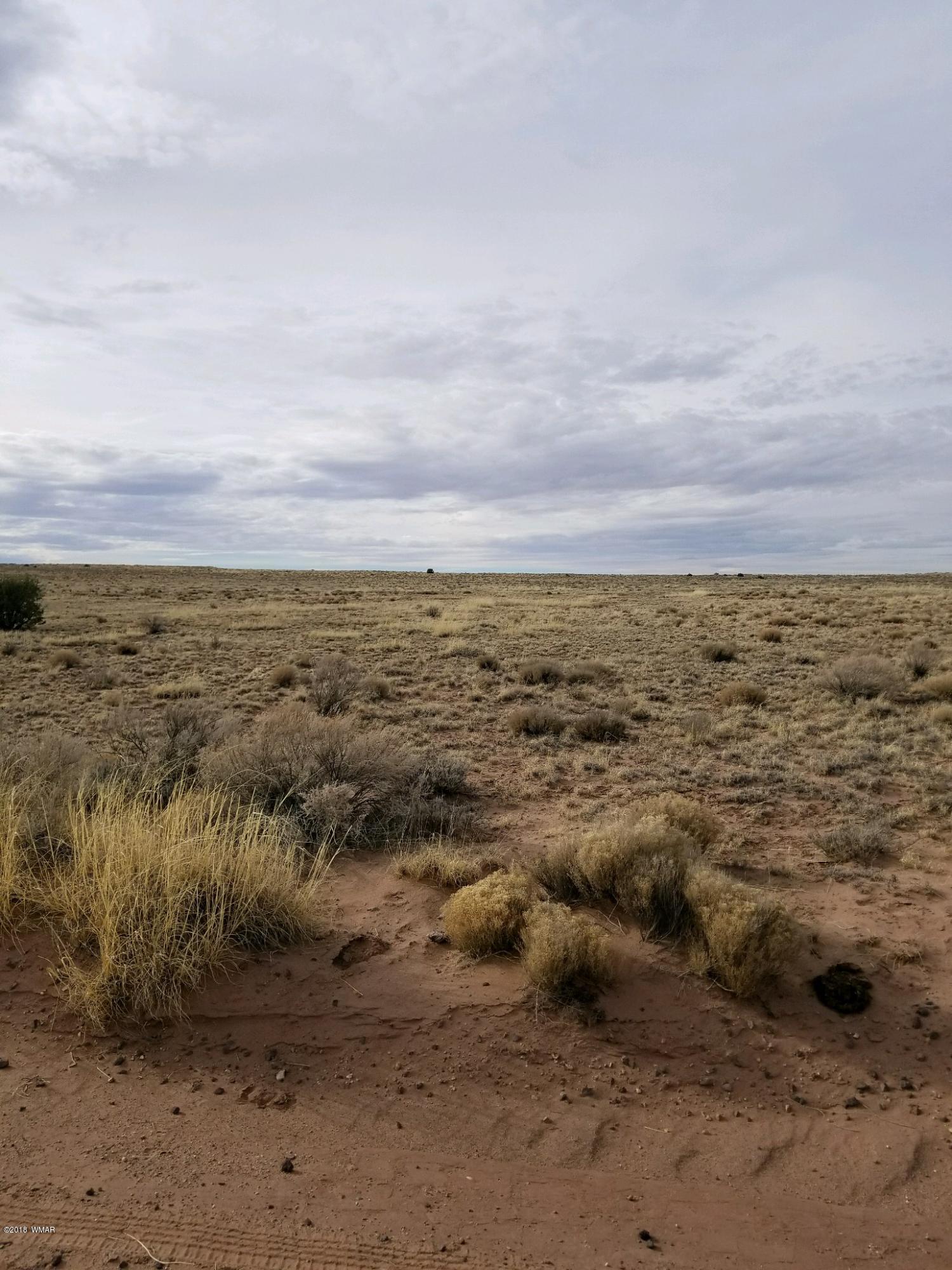 Lot 154 River Meadows Ranch Concho, AZ 85924 - Photo 10 of 11