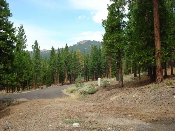 a backyard of a house with lots of trees