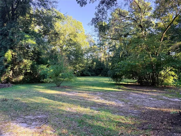 a view of green field