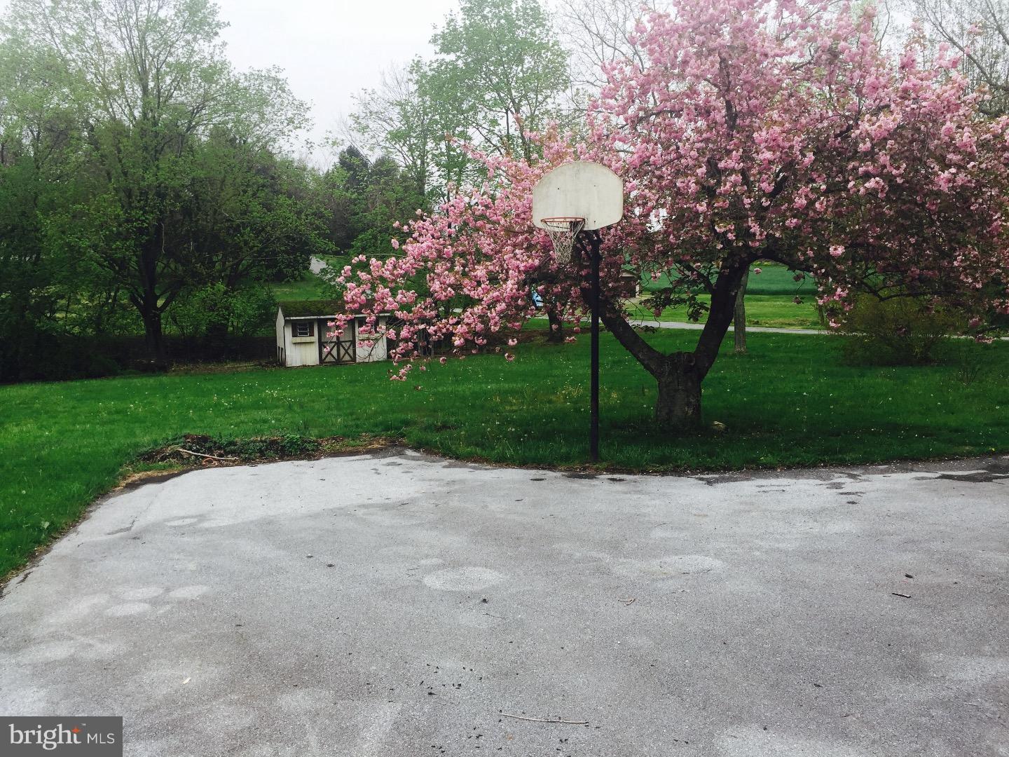 127 Gouglersville Road Reading, PA 19608 - Photo 23 of 24 Back Yard