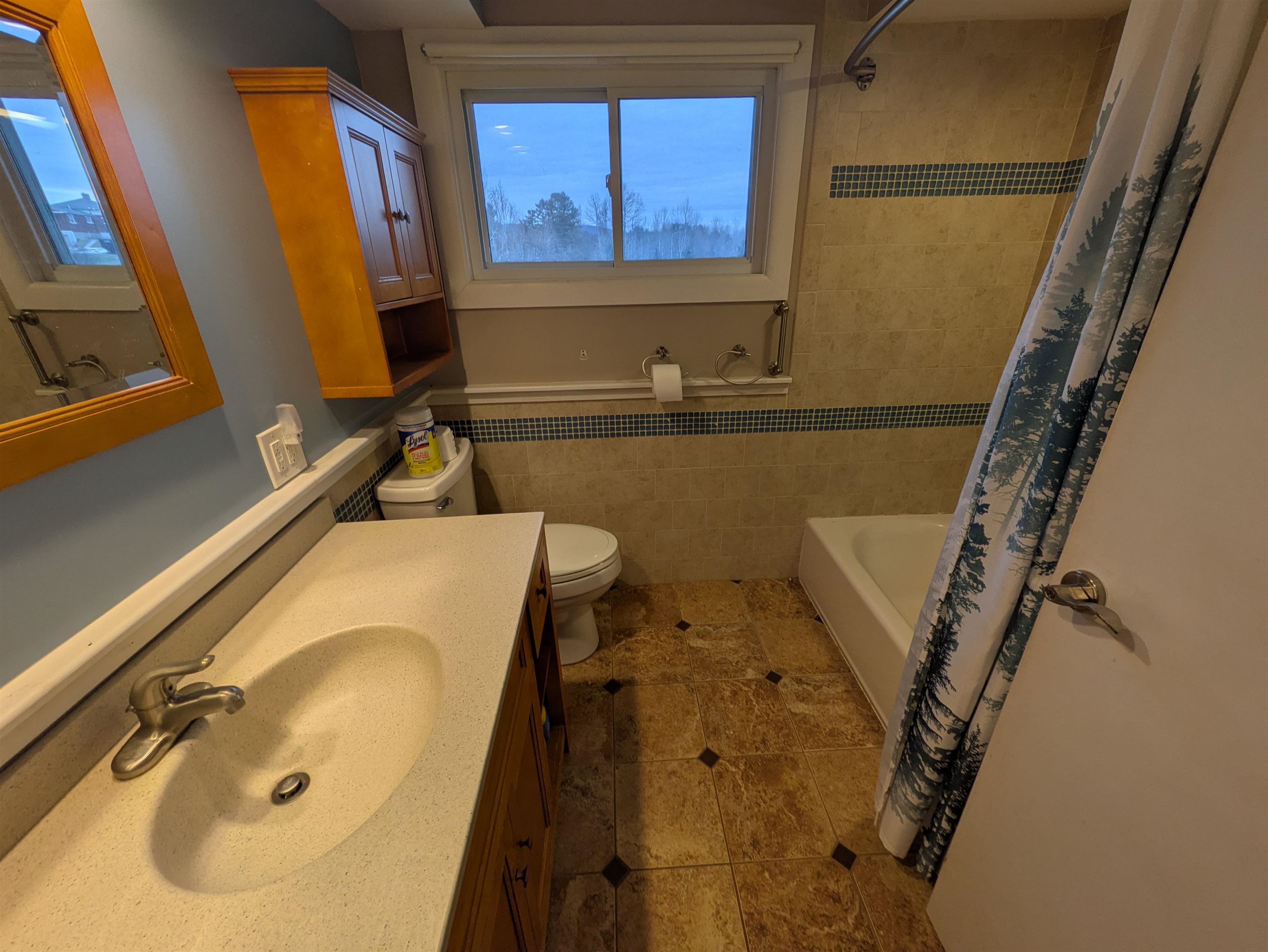 251 Bethlehem Road Littleton, NH 03561 - Photo 11 of 30