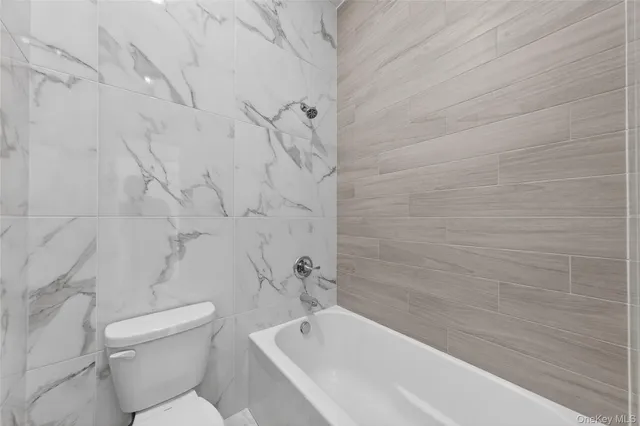 a bathroom with a toilet and a bathtub