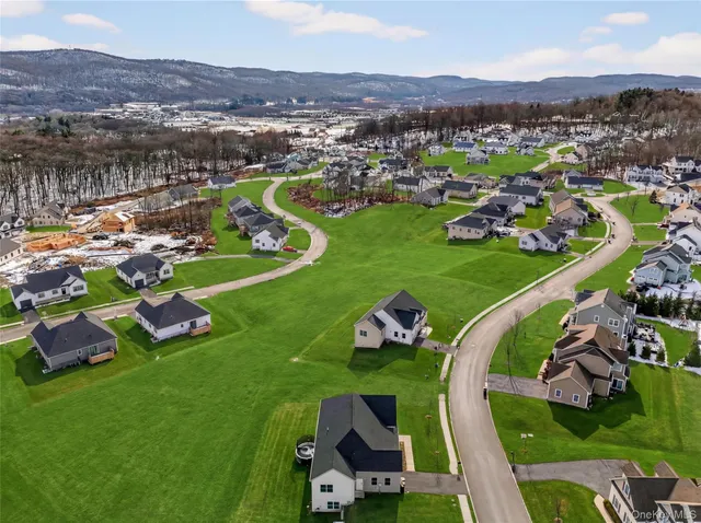 a picture of a black and white photo