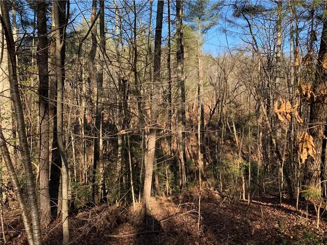 $5,000 | 240 Sanderlin Mountain Drive North, Jasper, GA 30143