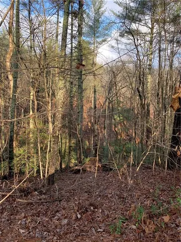 $5,000 | 240 Sanderlin Mountain Drive North, Jasper, GA 30143