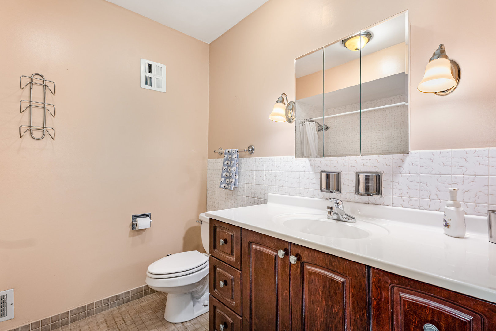 158 South Ela Road Barrington, IL 60010 - Photo 9 of 21 a bathroom with a sink vanity mirror and toilet