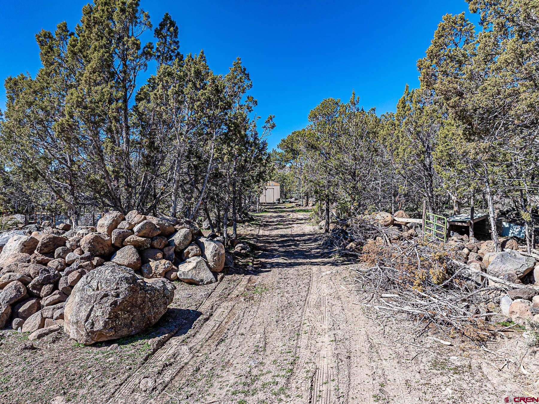 18697 Ward Creek Road Cedaredge, CO 81413 - Photo 35 of 45