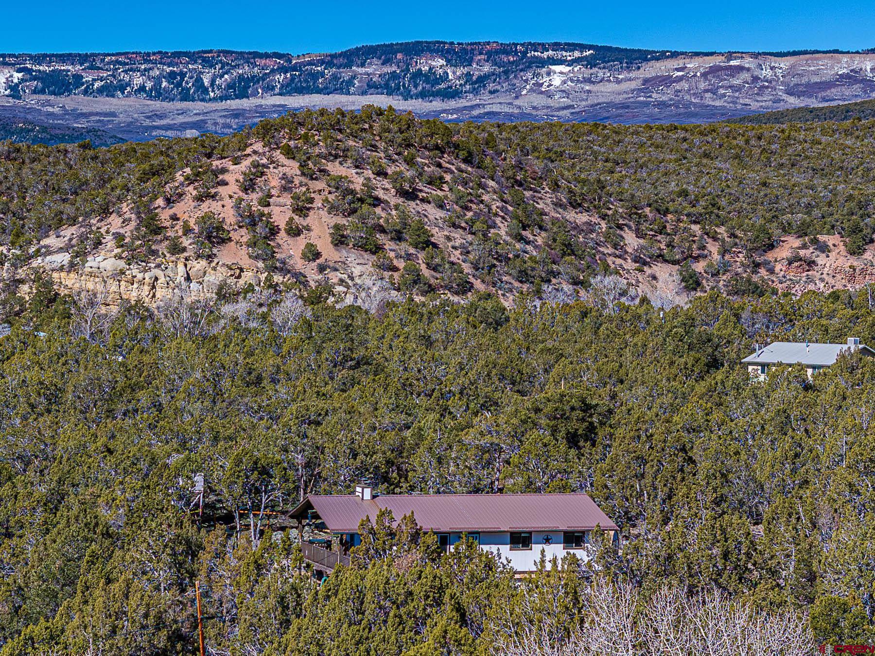18697 Ward Creek Road Cedaredge, CO 81413 - Photo 6 of 45