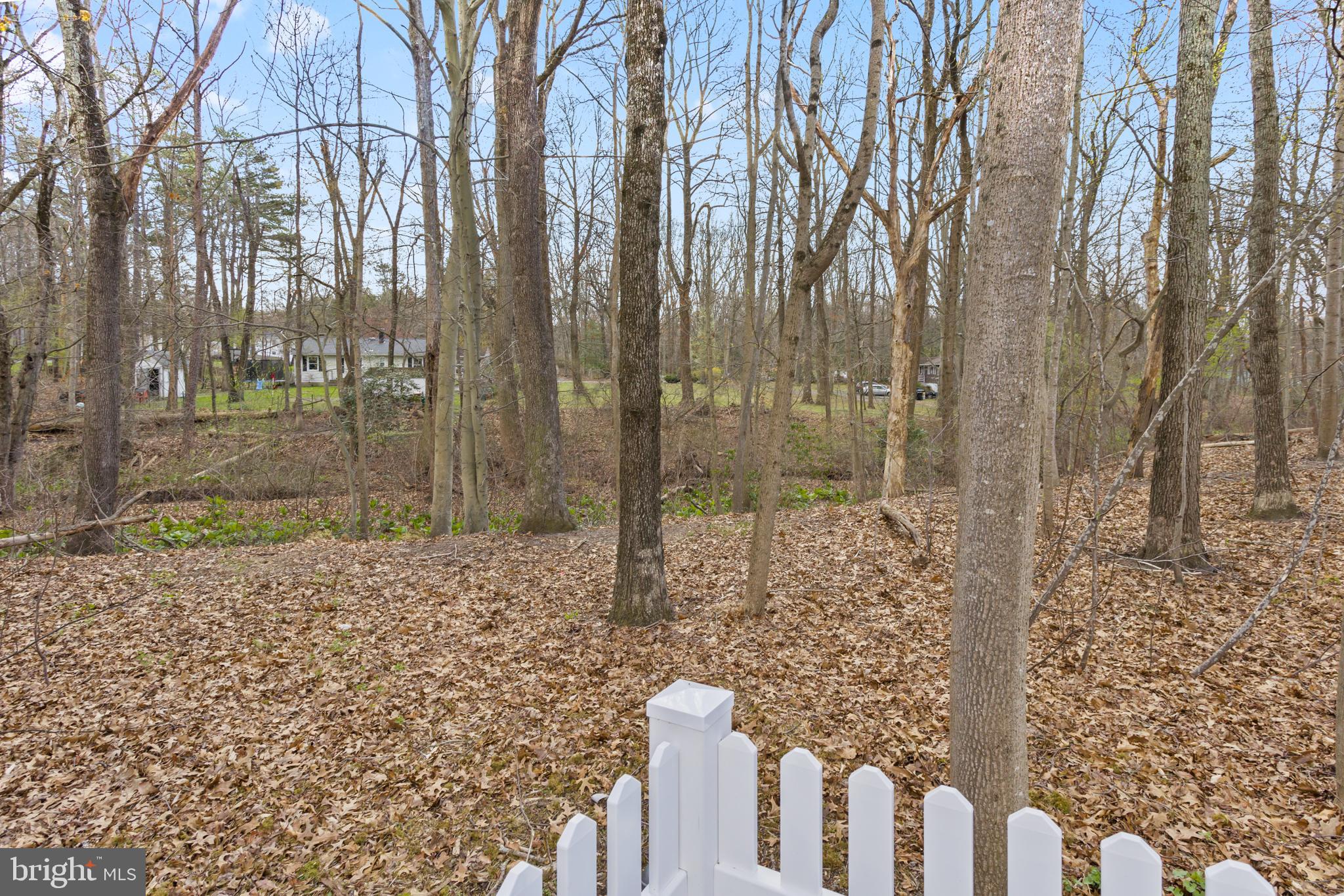 11 Shevchenko Avenue Cream Ridge, NJ 08514 - Photo 29 of 29