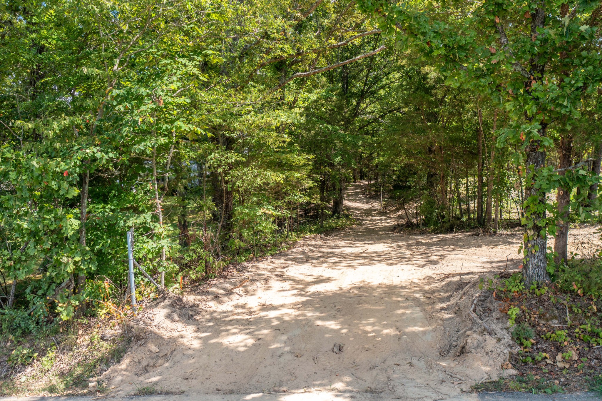 0 Eli Road Bon Aqua, TN 37025 - Photo 4 of 8 a view of a yard with plants and trees