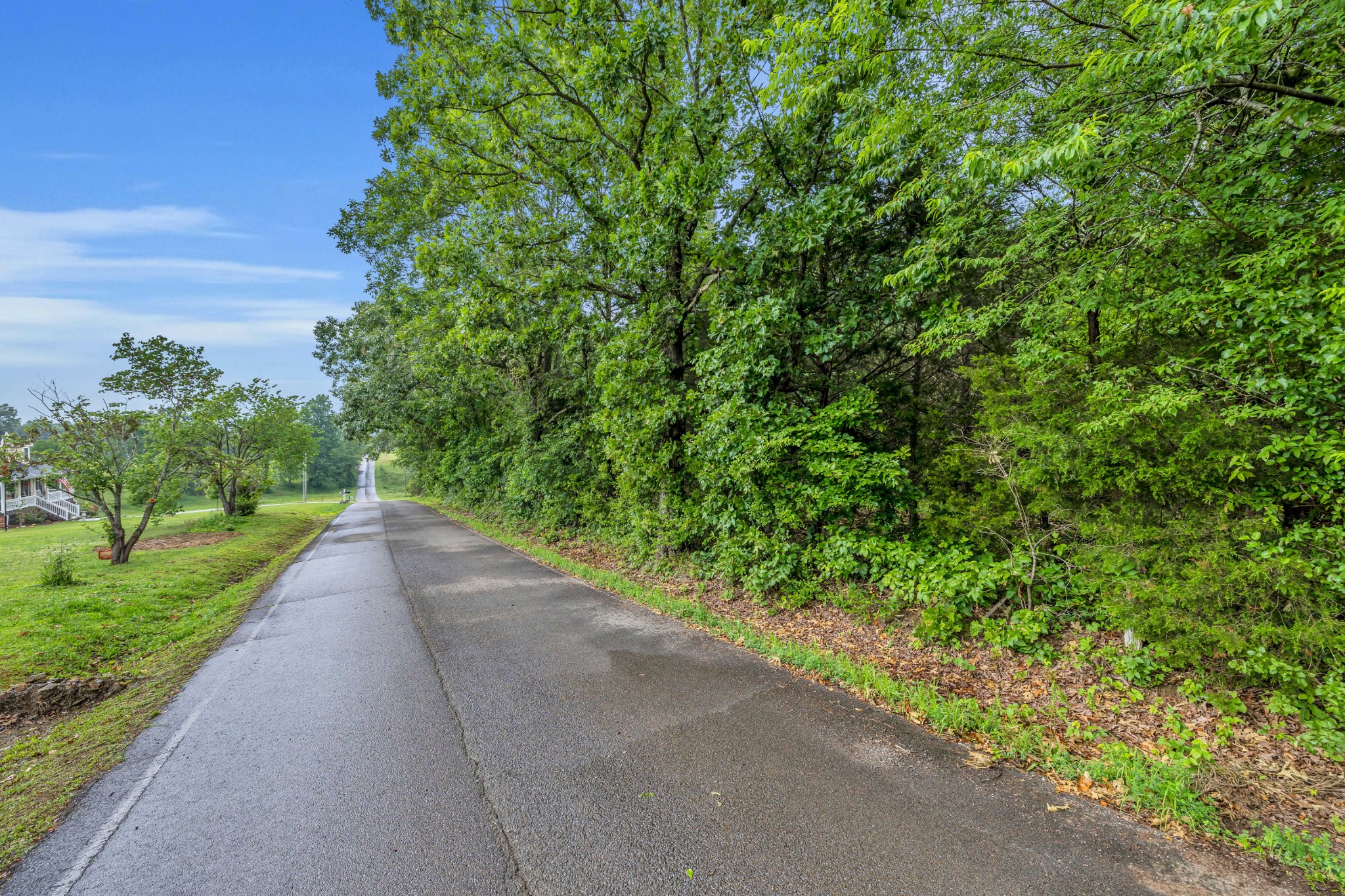 0 Eli Road Bon Aqua, TN 37025 - Photo 8 of 8 a view of a garden