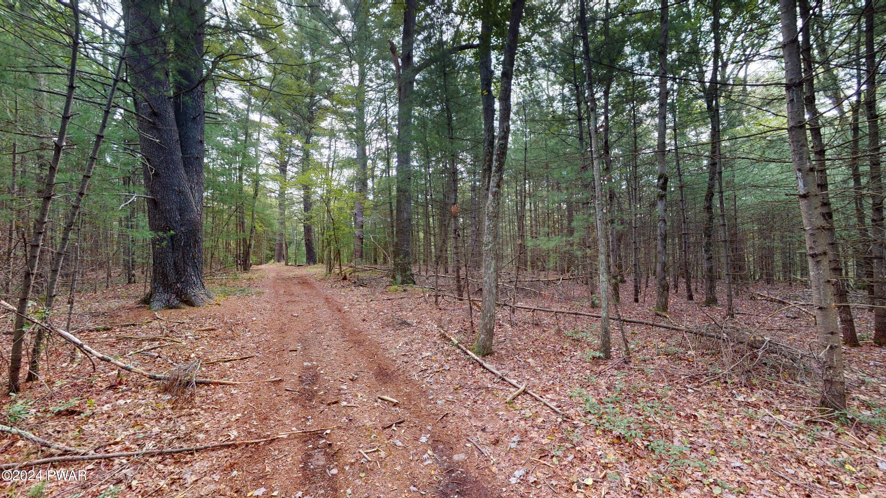 695 Milford Road Milford, PA 18337 - Photo 15 of 18 695-Milford-Rd-08202024_121925