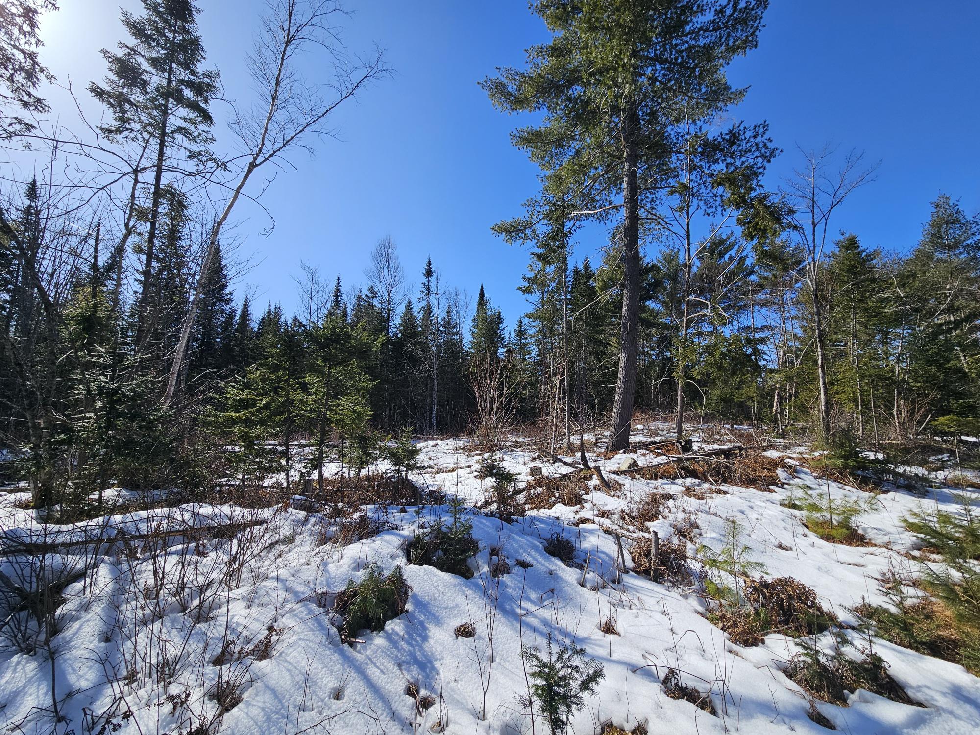 Lot 29-3 Basford Road Detroit, ME 04929 - Photo 13 of 26 Lot 4
