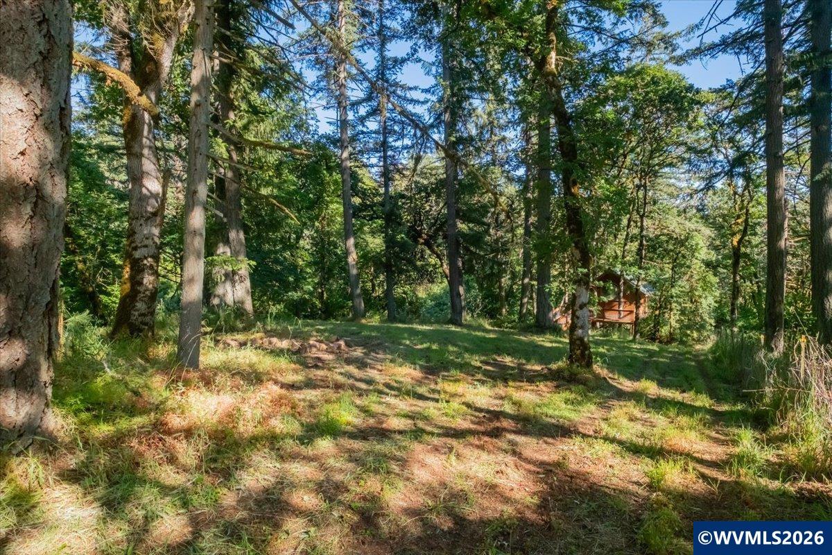 10102 Liberty Road South Salem, OR 97306 - Photo 44 of 49