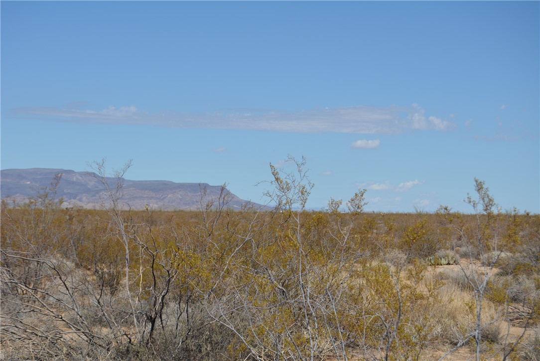 207-35-005 South Arlington Road Yucca, AZ 86438 - Photo 80 of 92