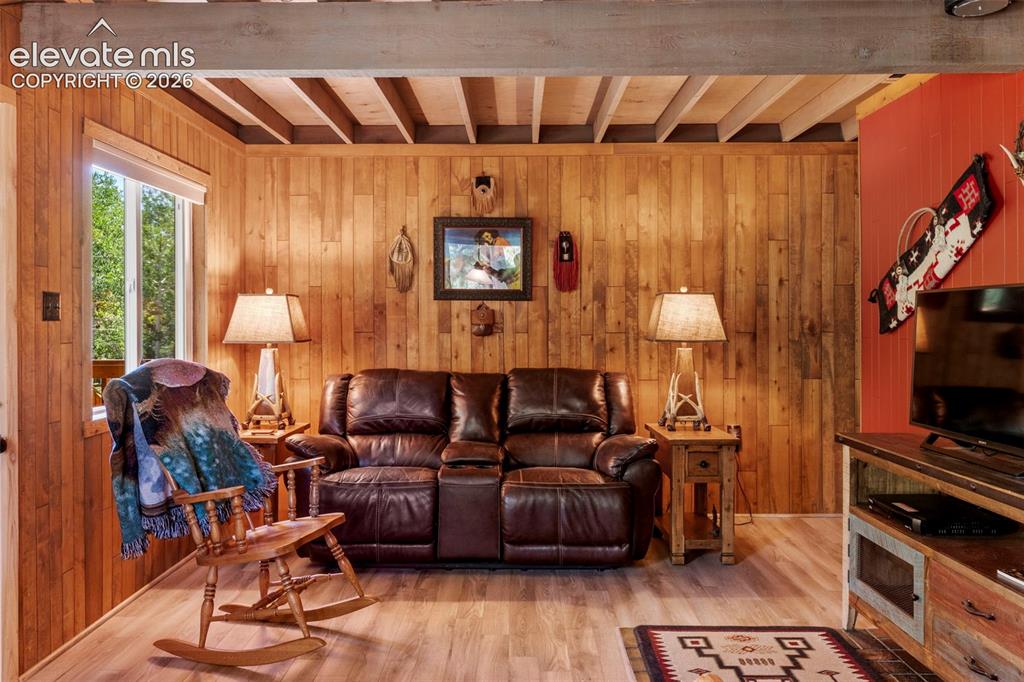 546 Pulver Road Lake George, CO 80827 - Photo 7 of 45 a living room with furniture and a flat screen tv