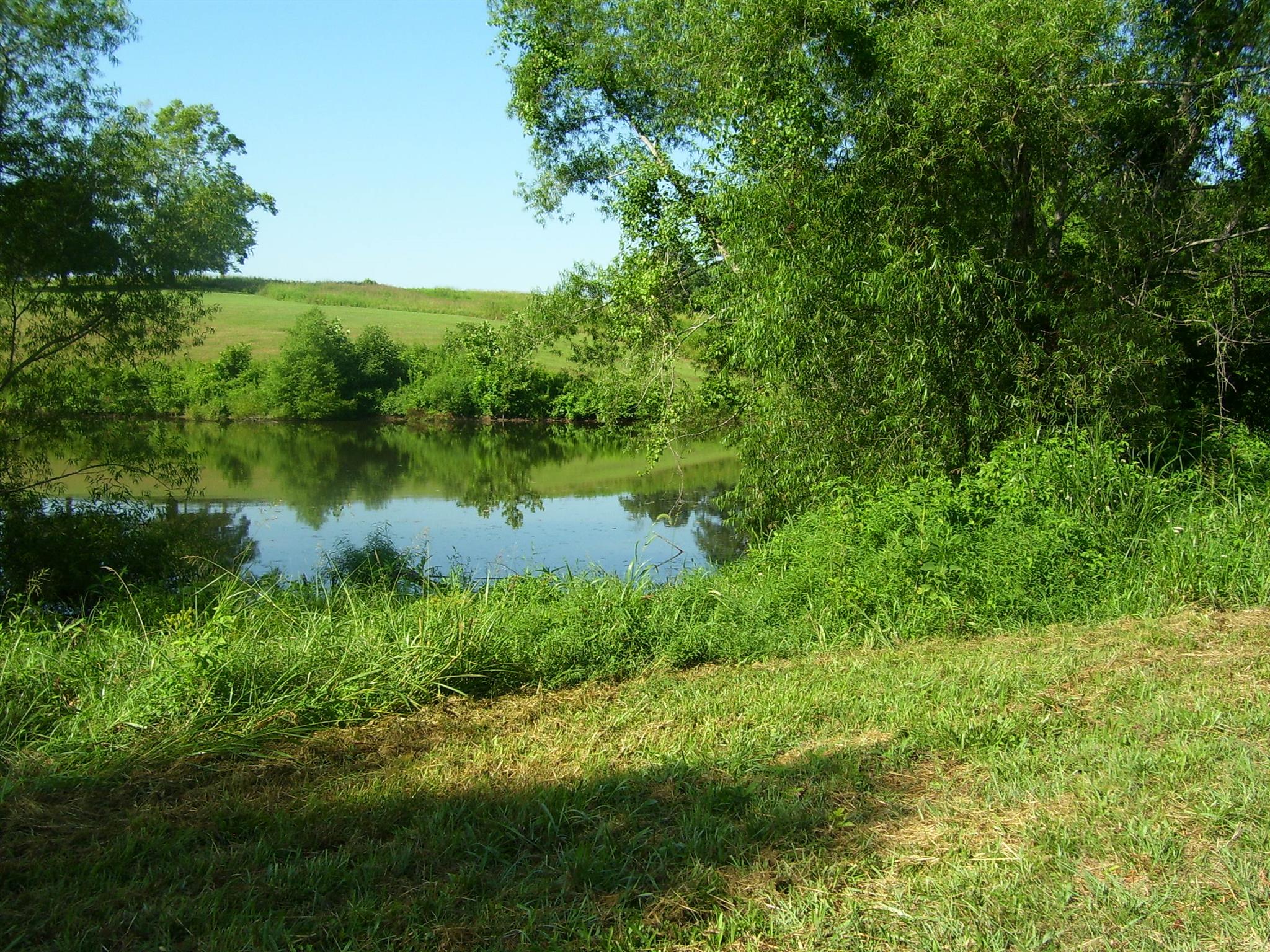 3744 Beasleys Bend Road Lebanon, TN 37087 - Photo 5 of 10 Nice pond for fishing.