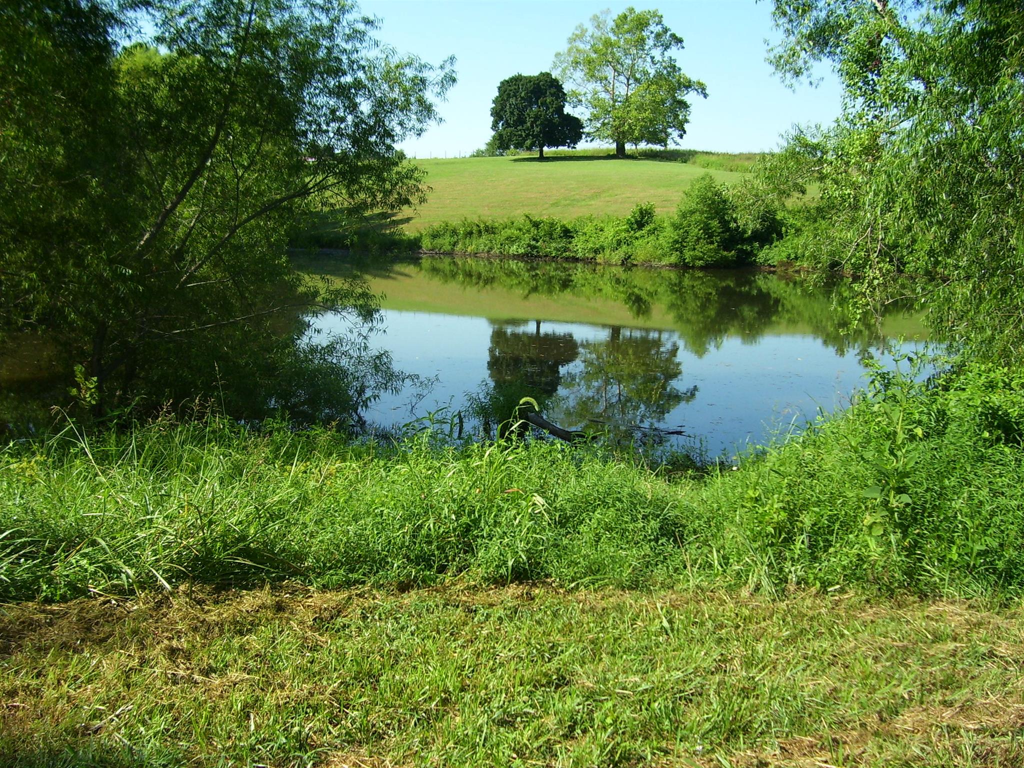 3744 Beasleys Bend Road Lebanon, TN 37087 - Photo 6 of 10 another view of pond