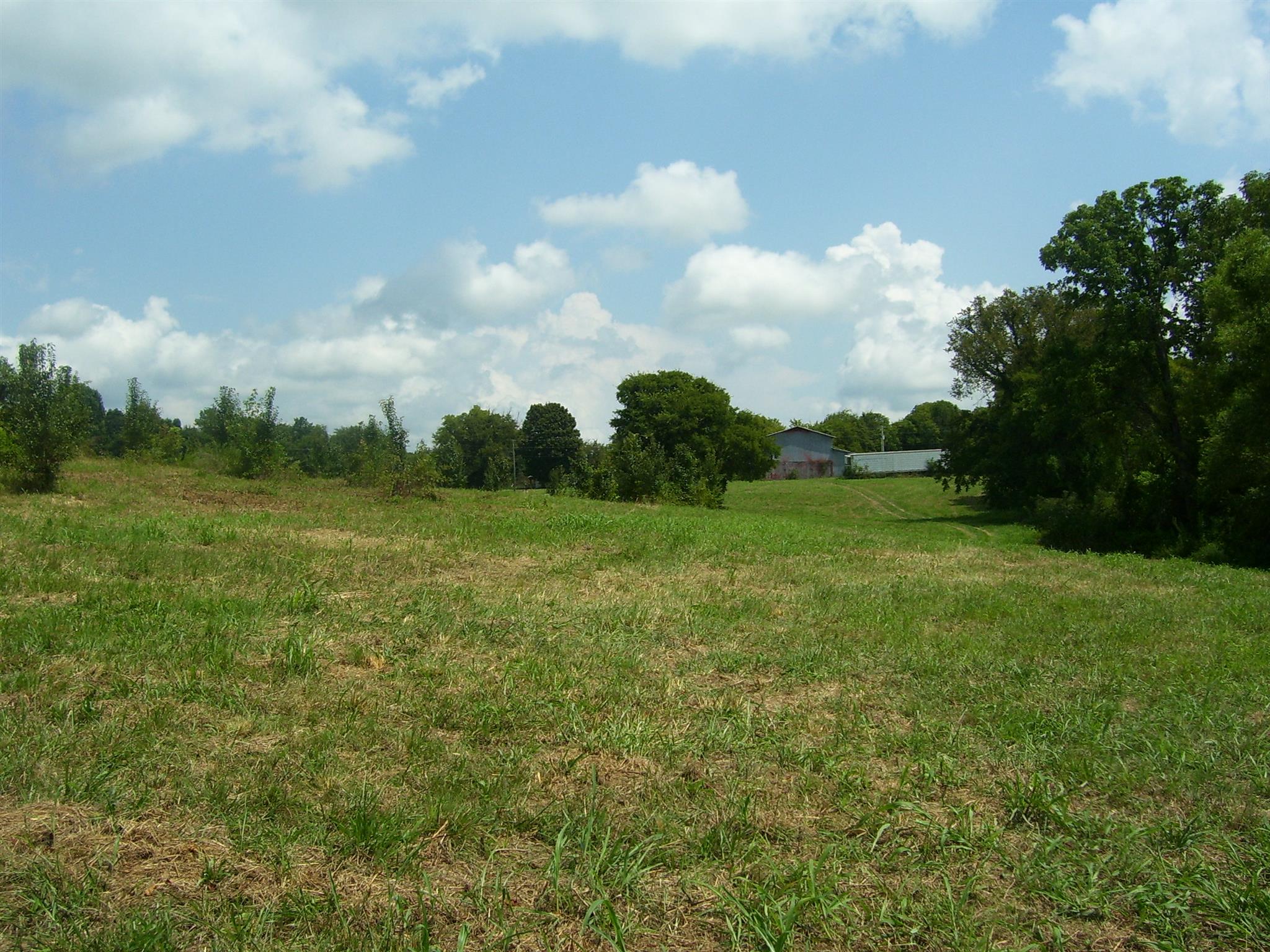 3744 Beasleys Bend Road Lebanon, TN 37087 - Photo 8 of 10 Nice and open!