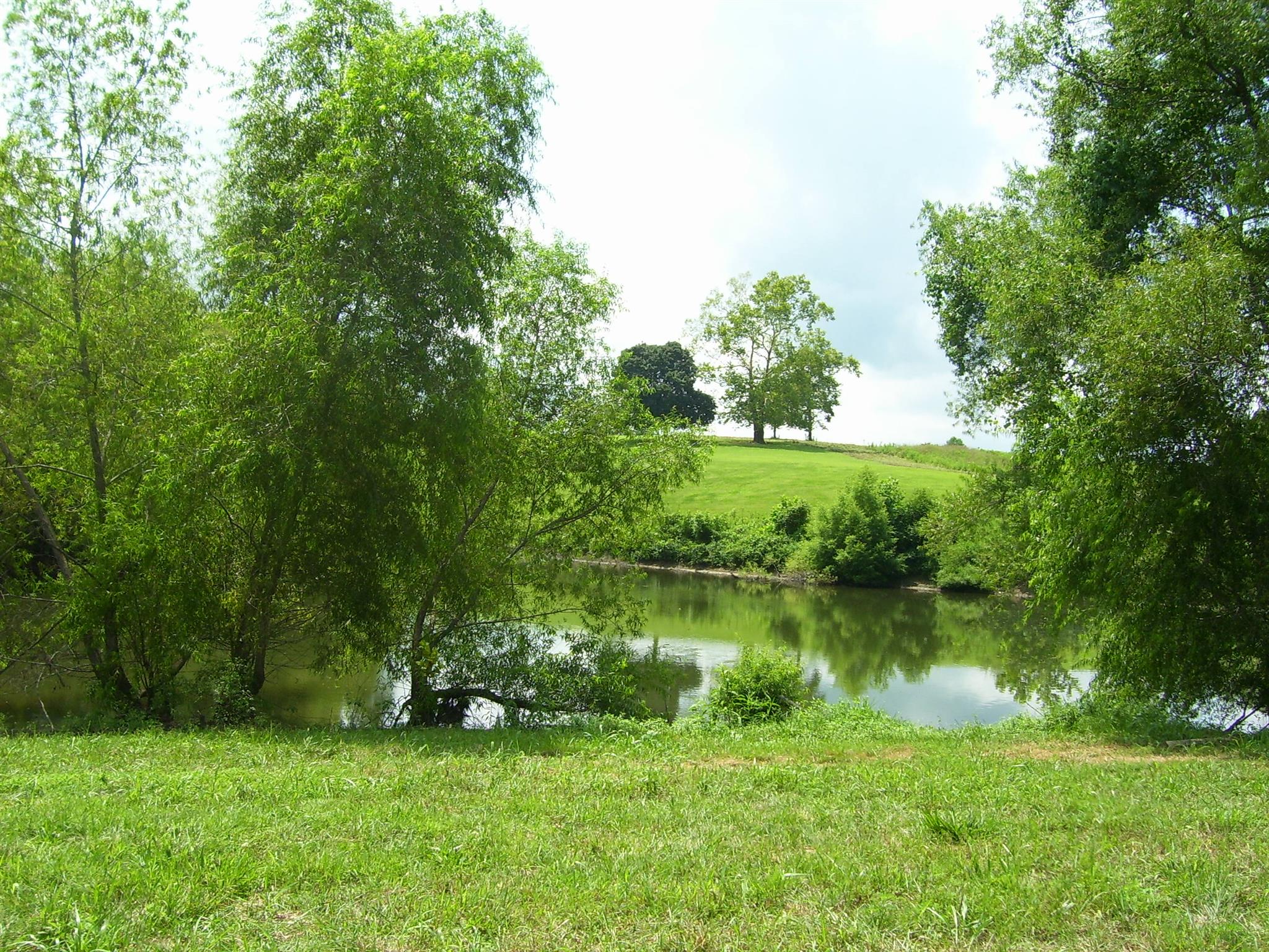 3744 Beasleys Bend Road Lebanon, TN 37087 - Photo 9 of 10 NICE QUIET SPOT TO FISH! So picturesque!