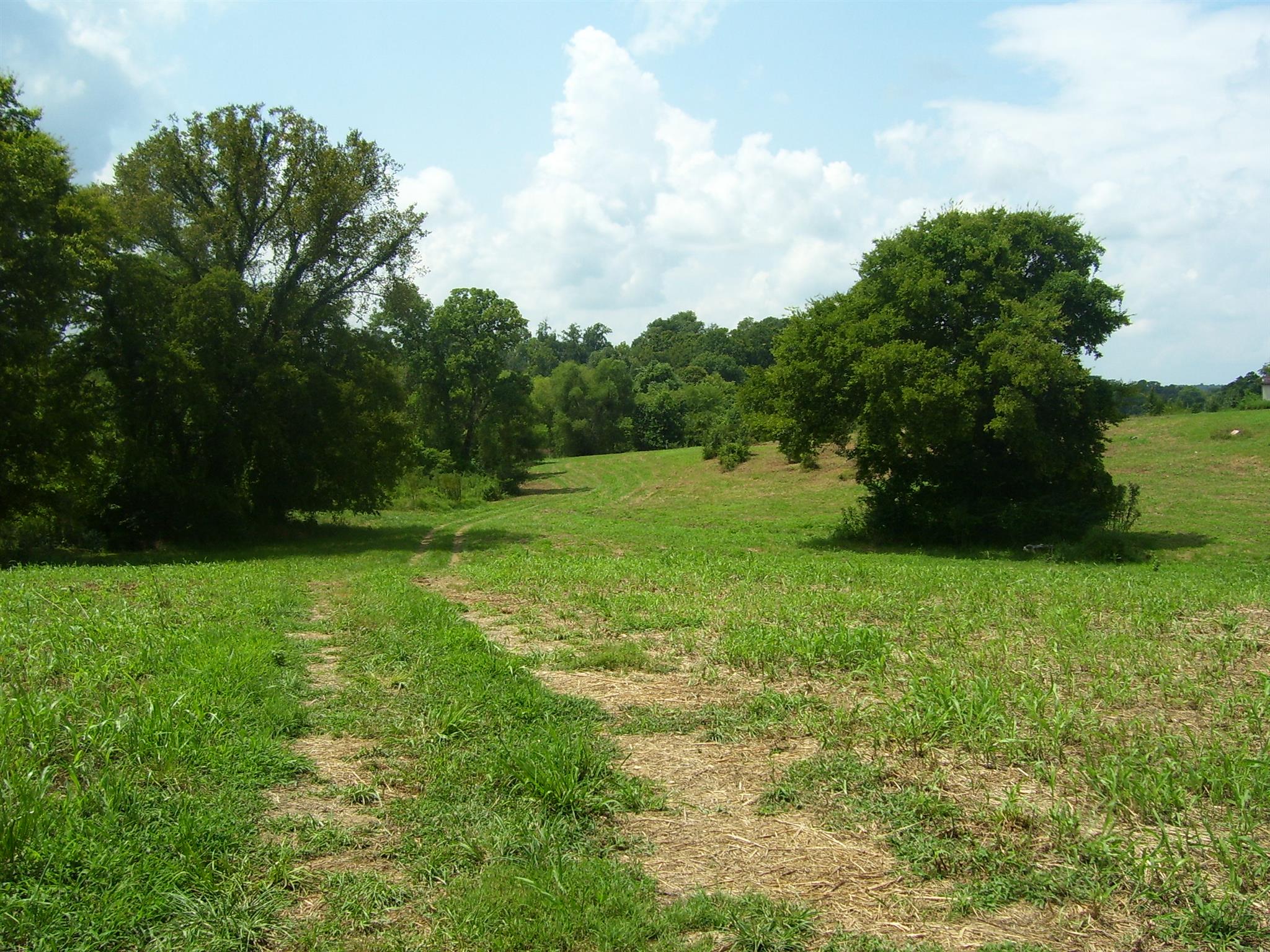 3744 Beasleys Bend Road Lebanon, TN 37087 - Photo 10 of 10 Plenty of room to roam!