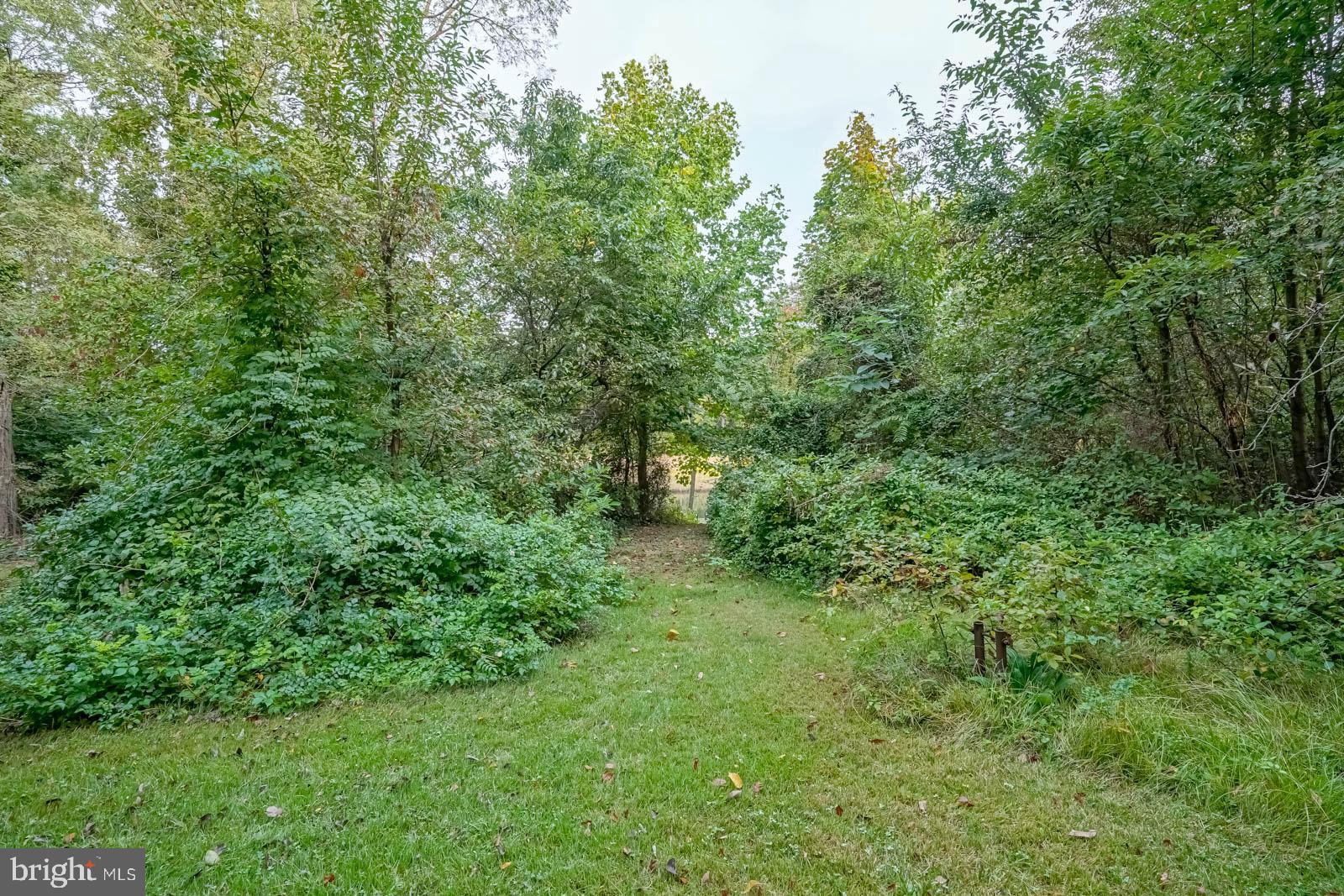 58 Mantua Road Mount Royal, NJ 08061 - Photo 54 of 59