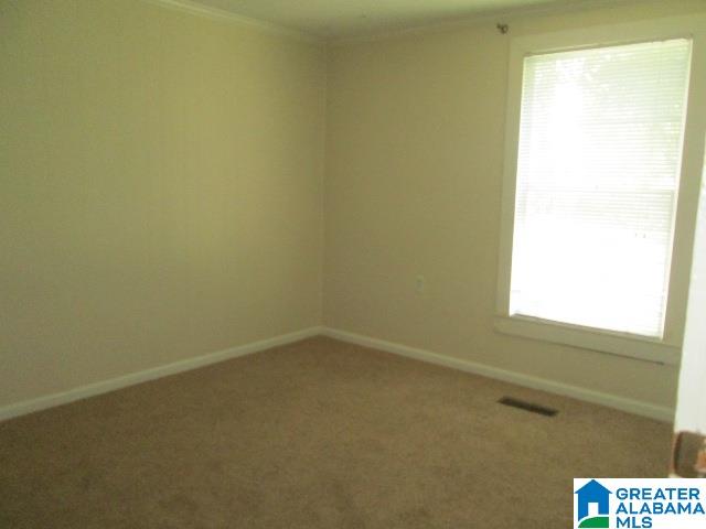6928 Highway 11 Springville, AL 35146 - Photo 16 of 34