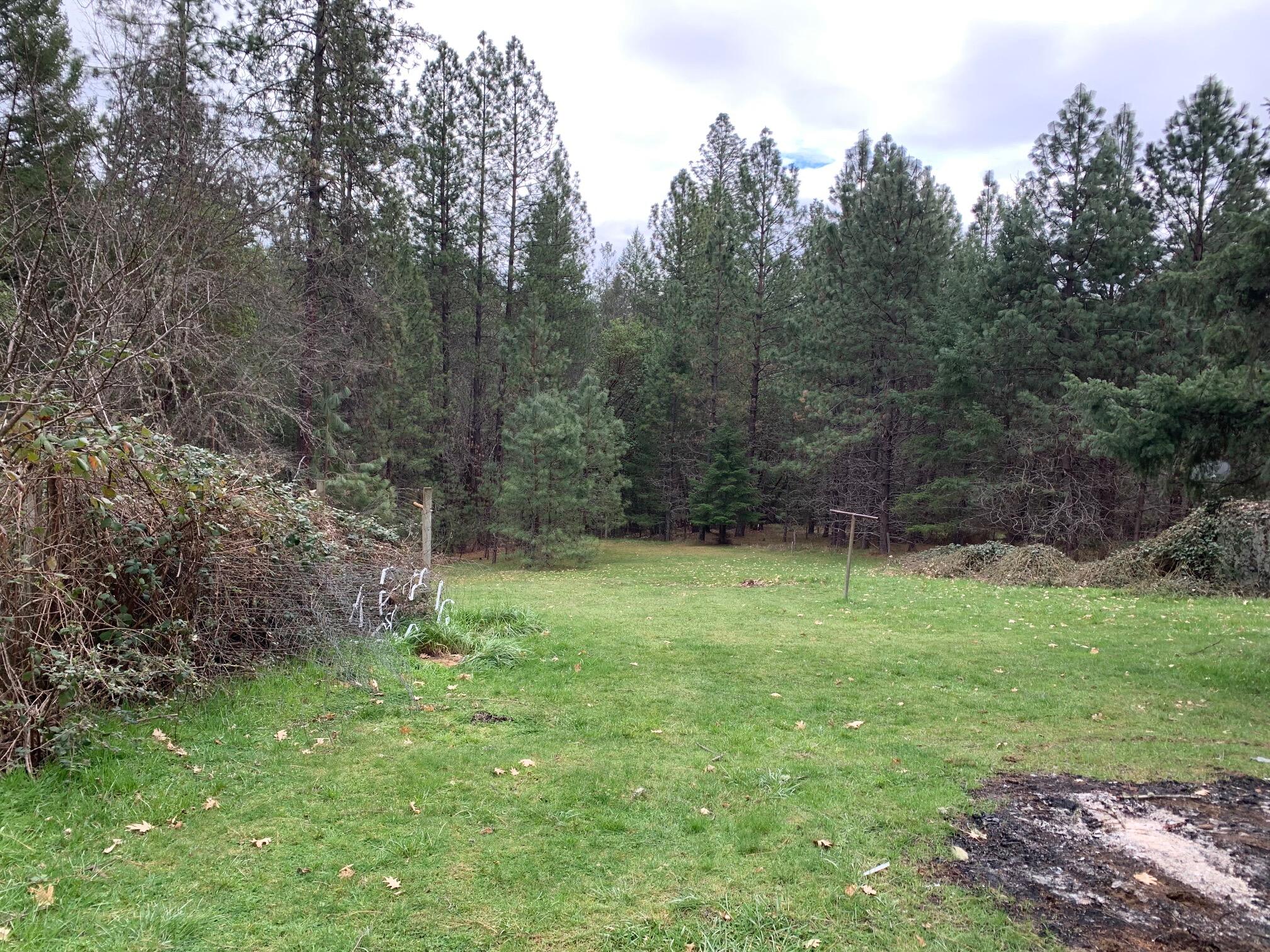877 Crow Road Merlin, OR 97532 - Photo 24 of 25 IMG_2455