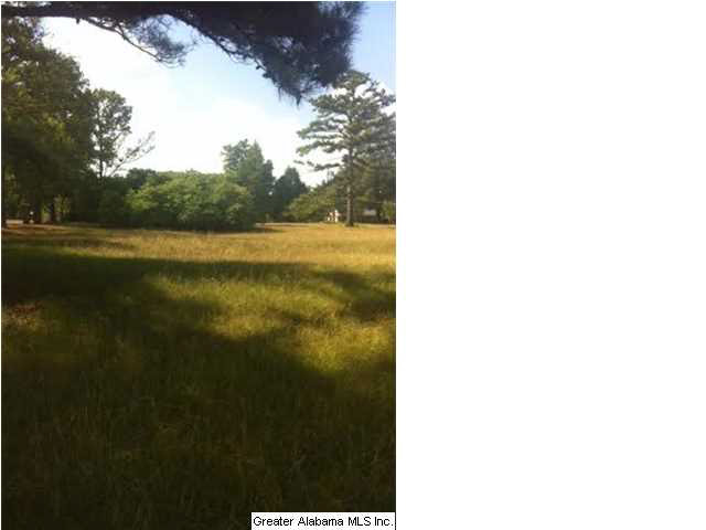 5246 South Shades Crest Road Bessemer, AL 35022 - Photo 1 of 3