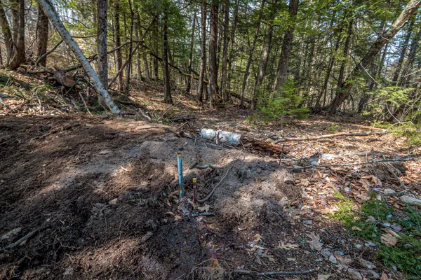 $169,000 | 14 Lollipop Lane, Chocorua, NH 03817