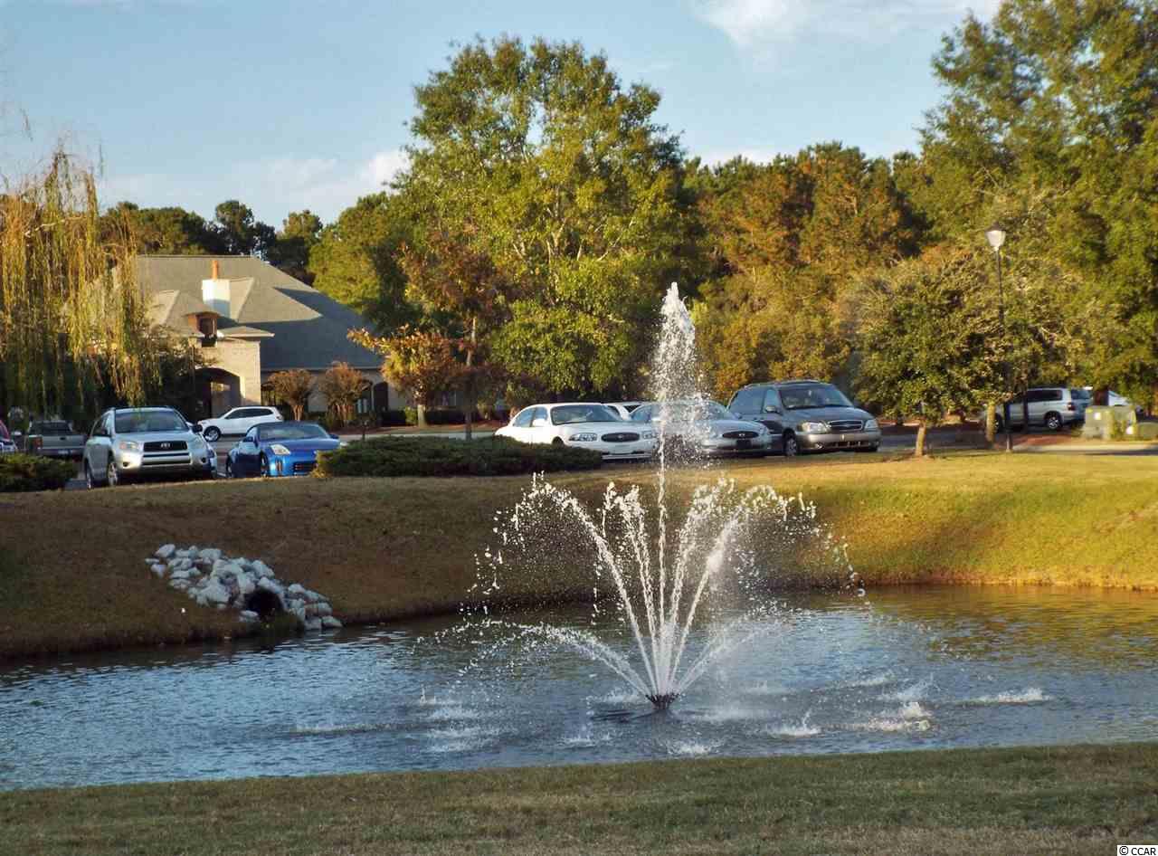 272 Whitchurch Street Murrells Inlet, SC 29576 - Photo 21 of 24 Gallery Image 21