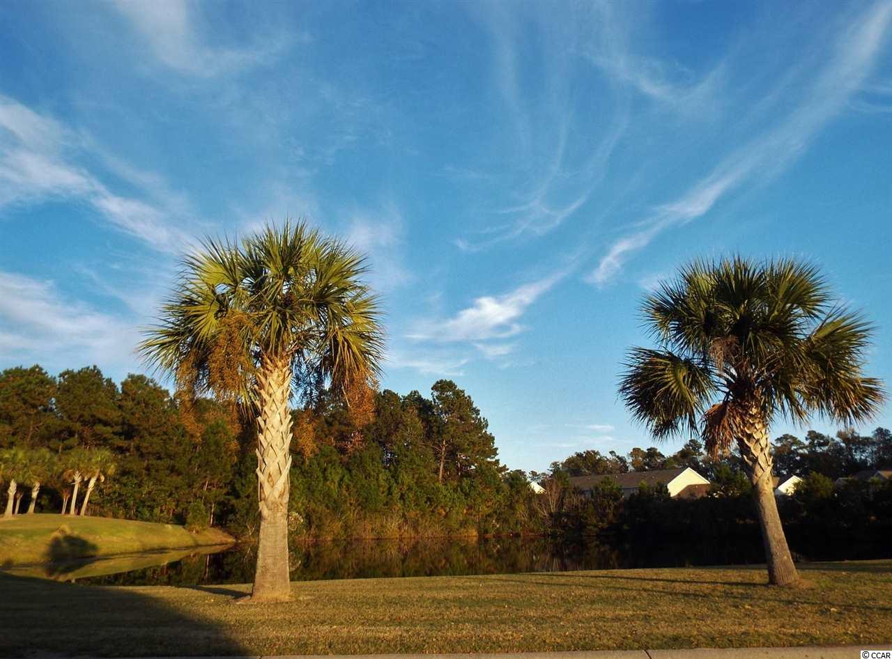 272 Whitchurch Street Murrells Inlet, SC 29576 - Photo 24 of 24 Gallery Image 24