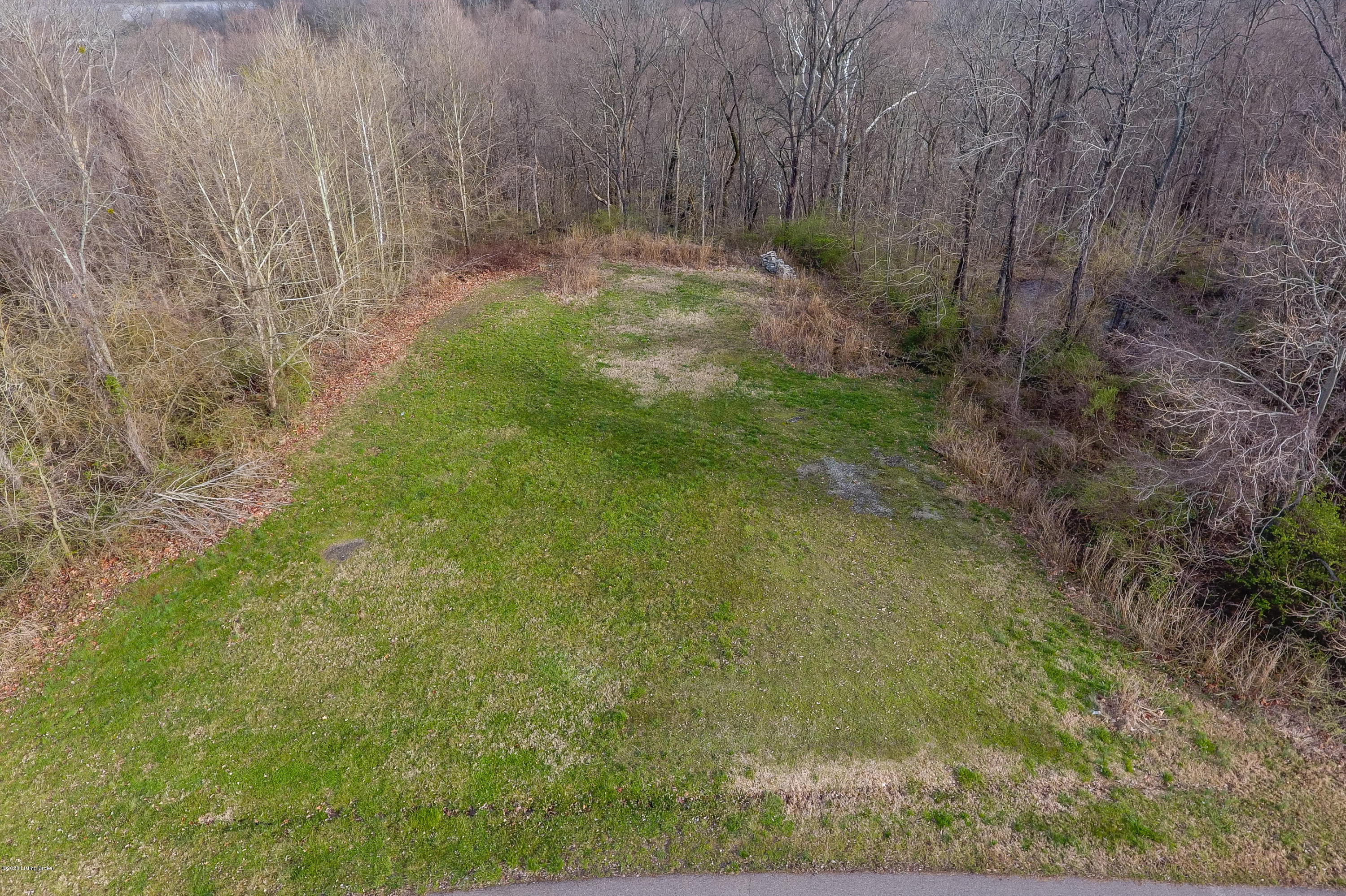 12303 Ridgeview Drive Goshen, KY 40026 - Photo 10 of 23 010 - 20200320-0790