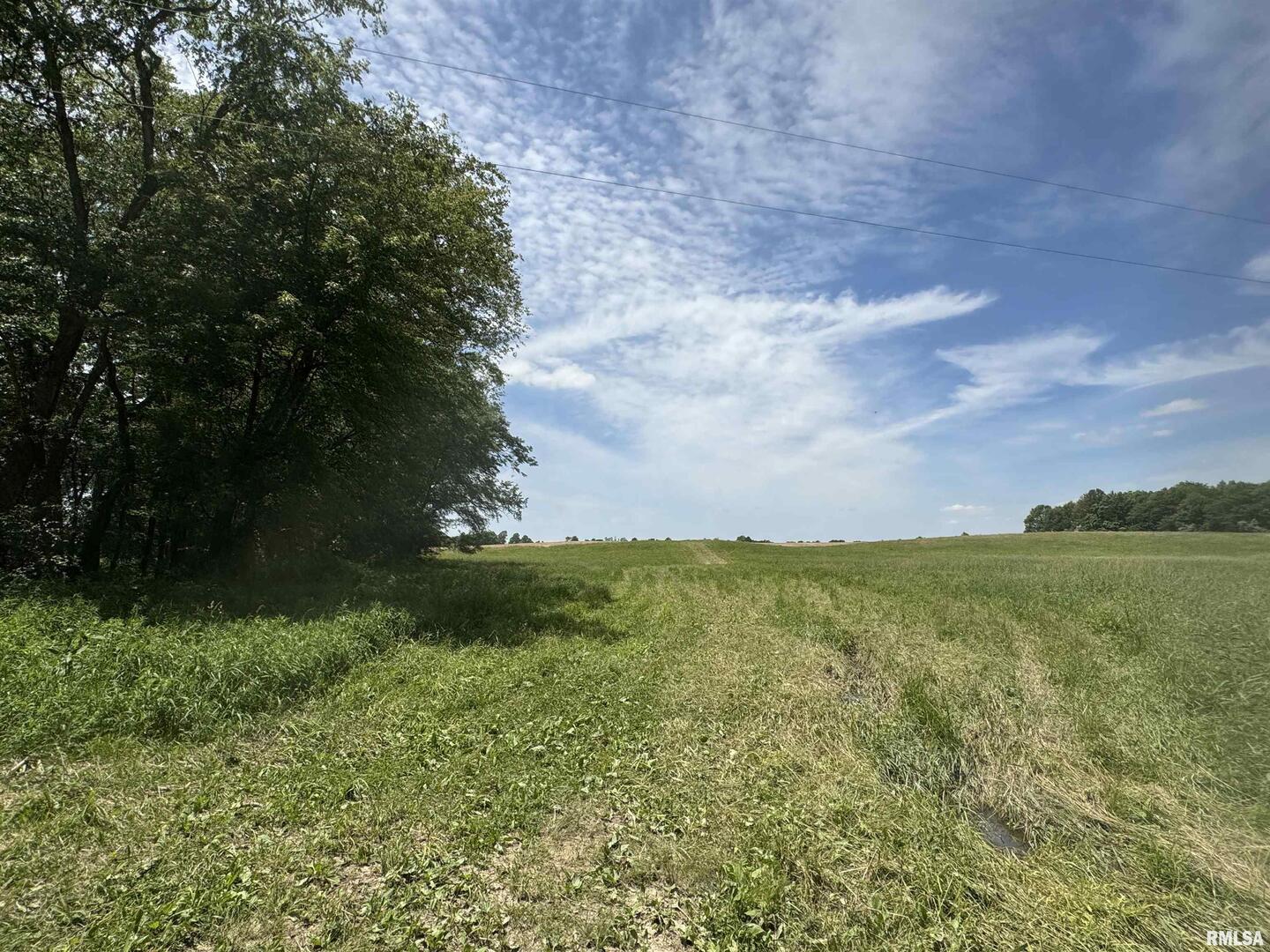 0 2100 North County Road Cisne, IL 62823 - Photo 19 of 23 Gallery Image 19
